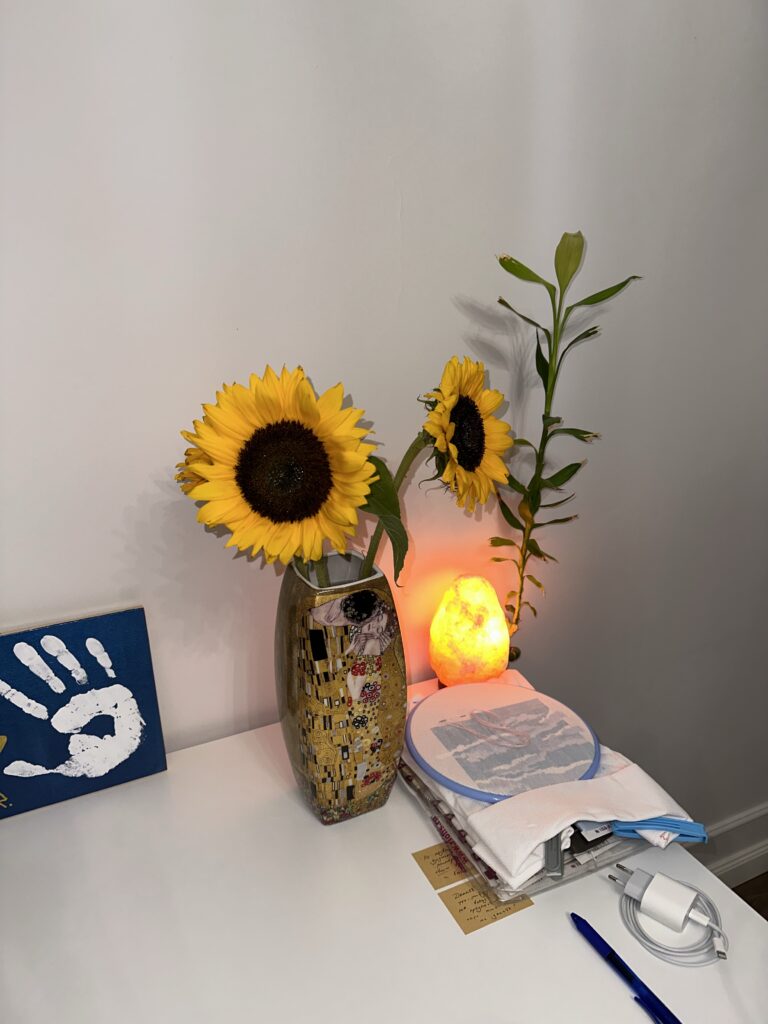 Understanding the Role of Hubs and Controllers in a Smart Home Automation Network