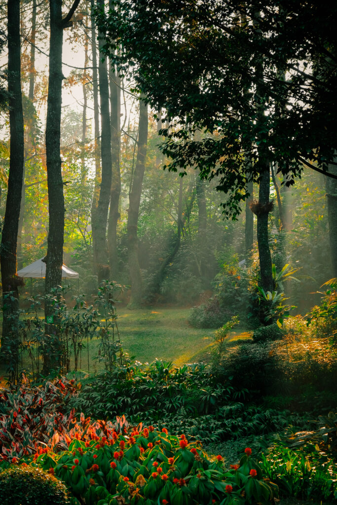 What Are The Battery Life And Backup Options For Smart Locks?